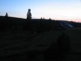 20 : 40