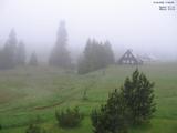 17 : 36