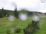 19 : 36