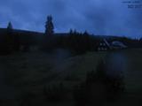 21 : 28