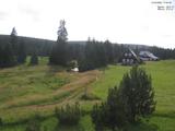17 : 44