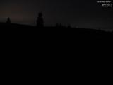 20 : 40