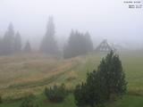 16 : 12