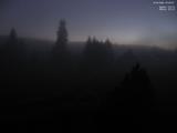 20 : 20