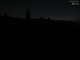 20 : 40