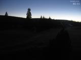 20 : 16