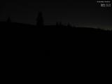 20 : 40