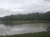09 : 04