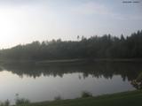 19 : 36