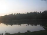 20 : 16