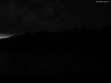 22 : 44