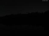 20 : 28