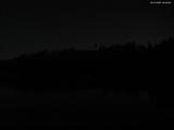 20 : 40