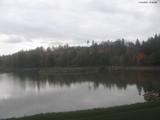 16 : 36