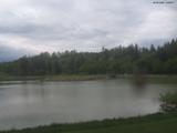14 : 28