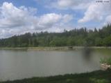13 : 44