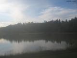 19 : 36