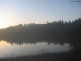 20 : 52