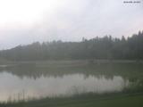 20 : 16