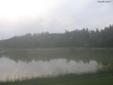 20 : 20