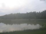 20 : 24