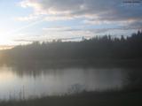 20 : 40