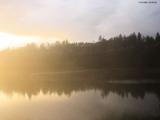 20 : 28