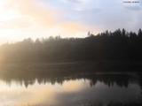 20 : 36