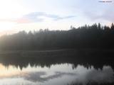 20 : 44
