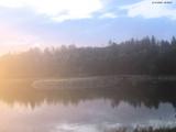 20 : 28