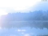 21 : 28