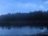 21 : 28