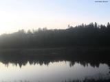 20 : 40
