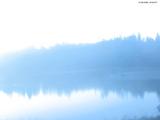 20 : 52