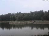11 : 44