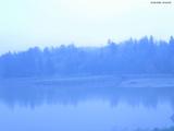 20 : 40