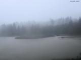19 : 36