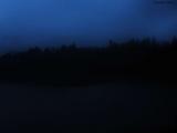 20 : 40