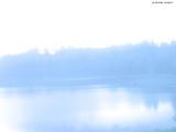 20 : 28