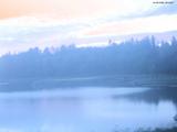20 : 44