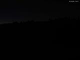 21 : 20