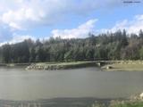 17 : 16