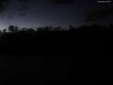 20 : 40