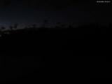 20 : 44
