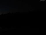 20 : 40