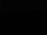 20 : 48