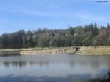 13 : 00