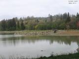 Záznam