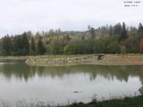 Záznam