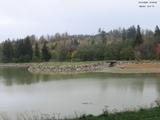 Záznam